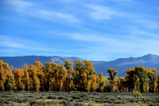 Grand_Teton_National_Park_Wyoming_USA_landscape_nature_Yellowstone_And_Photography_125_Canon_EOS_R5_Mark_II.JPG