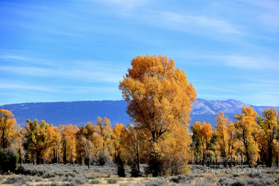 Grand_Teton_National_Park_Wyoming_USA_landscape_nature_Yellowstone_And_Photography_126_Canon_EOS_R5_Mark_II.JPG