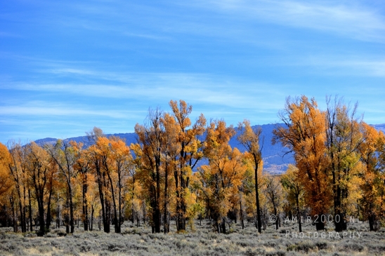Grand_Teton_National_Park_Wyoming_USA_landscape_nature_Yellowstone_And_Photography_127_Canon_EOS_R5_Mark_II.JPG