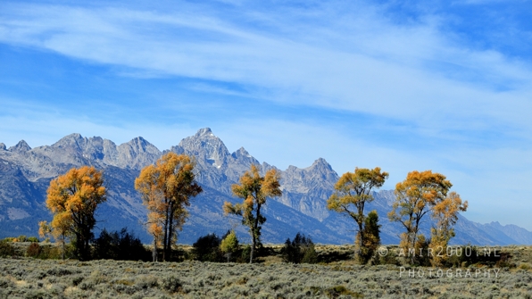 Grand_Teton_National_Park_Wyoming_USA_landscape_nature_Yellowstone_And_Photography_131_Canon_EOS_R5_Mark_II.JPG