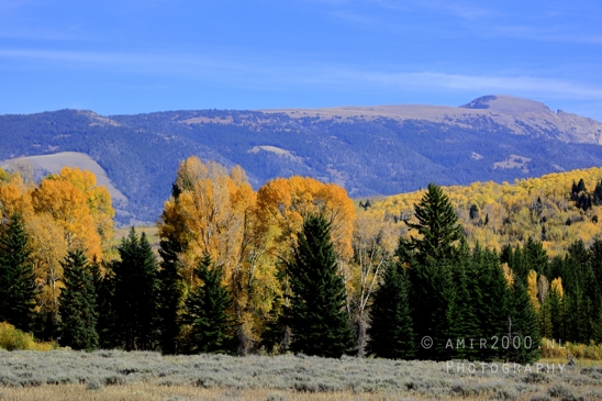 Grand_Teton_National_Park_Wyoming_USA_landscape_nature_Yellowstone_And_Photography_135_Canon_EOS_R5_Mark_II.JPG