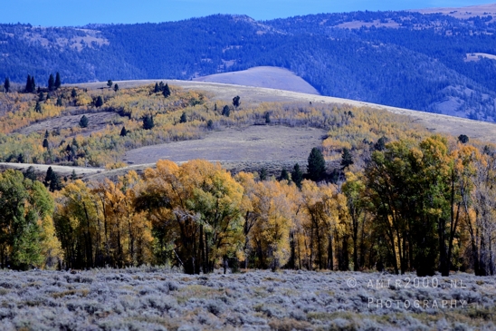 Grand_Teton_National_Park_Wyoming_USA_landscape_nature_Yellowstone_And_Photography_138_Canon_EOS_R5_Mark_II.JPG