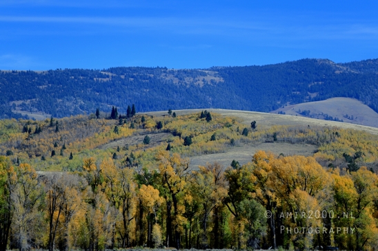 Grand_Teton_National_Park_Wyoming_USA_landscape_nature_Yellowstone_And_Photography_139_Canon_EOS_R5_Mark_II.JPG