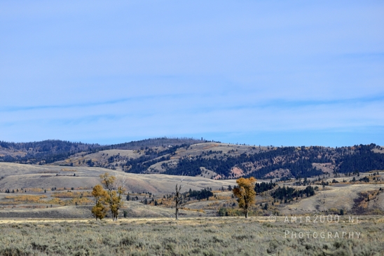 Grand_Teton_National_Park_Wyoming_USA_landscape_nature_Yellowstone_And_Photography_146_Canon_EOS_R5_Mark_II.JPG