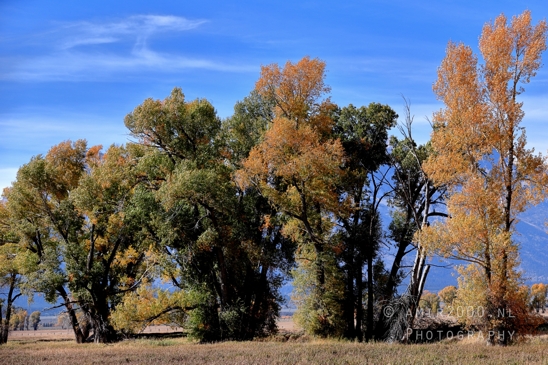 Grand_Teton_National_Park_Wyoming_USA_landscape_nature_Yellowstone_And_Photography_159_Canon_EOS_R5_Mark_II.JPG