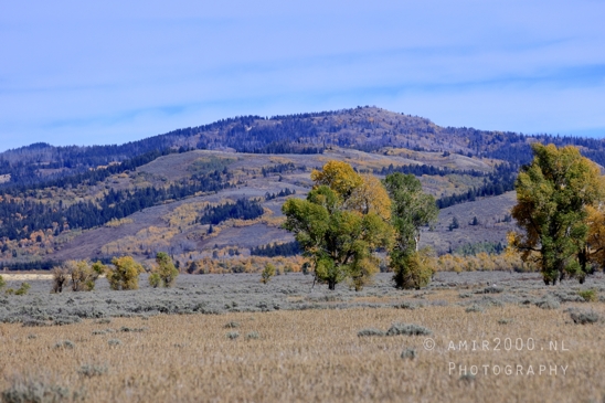 Grand_Teton_National_Park_Wyoming_USA_landscape_nature_Yellowstone_And_Photography_168_Canon_EOS_R5_Mark_II.JPG