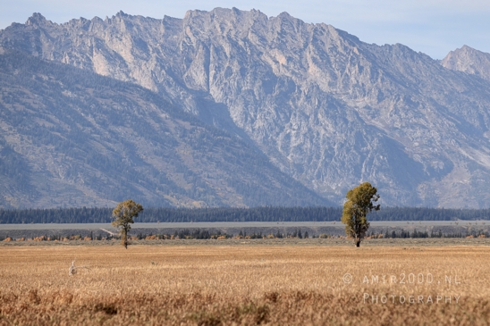 Grand_Teton_National_Park_Wyoming_USA_landscape_nature_Yellowstone_And_Photography_171_Canon_EOS_R5_Mark_II.JPG