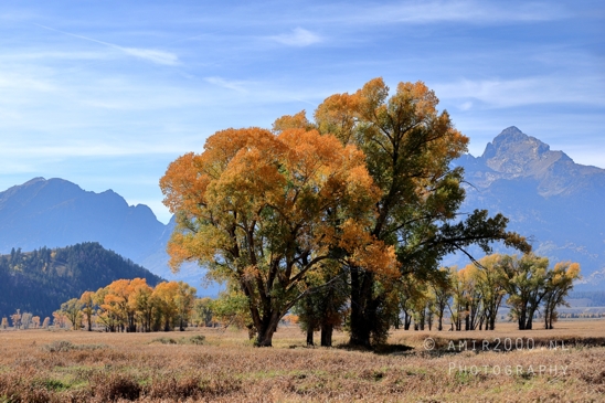 Grand_Teton_National_Park_Wyoming_USA_landscape_nature_Yellowstone_And_Photography_173_Canon_EOS_R5_Mark_II.JPG