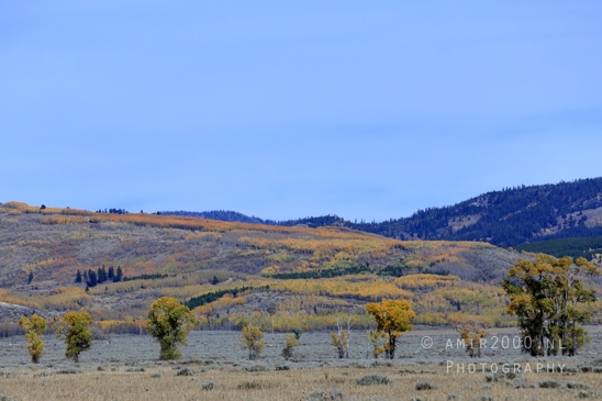 Grand_Teton_National_Park_Wyoming_USA_landscape_nature_Yellowstone_And_Photography_177_Canon_EOS_R5_Mark_II.JPG