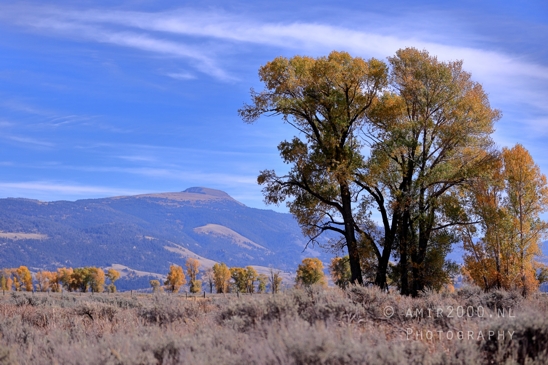 Grand_Teton_National_Park_Wyoming_USA_landscape_nature_Yellowstone_And_Photography_178_Canon_EOS_R5_Mark_II.JPG