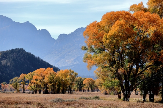 Grand_Teton_National_Park_Wyoming_USA_landscape_nature_Yellowstone_And_Photography_182_Canon_EOS_R5_Mark_II.JPG