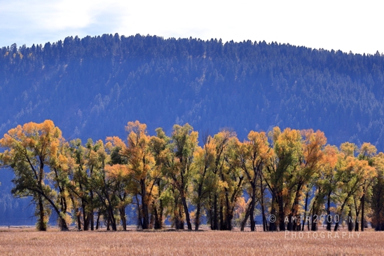 Grand_Teton_National_Park_Wyoming_USA_landscape_nature_Yellowstone_And_Photography_192_Canon_EOS_R5_Mark_II.JPG