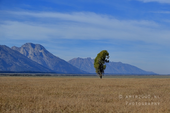 Grand_Teton_National_Park_Wyoming_USA_landscape_nature_Yellowstone_And_Photography_193_Canon_EOS_R5_Mark_II.JPG