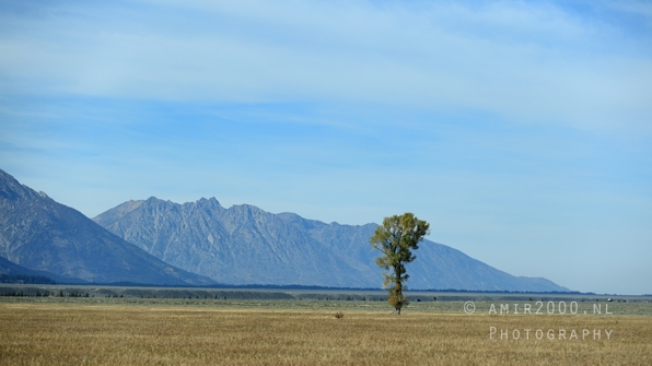 Grand_Teton_National_Park_Wyoming_USA_landscape_nature_Yellowstone_And_Photography_194_Canon_EOS_R5_Mark_II.JPG