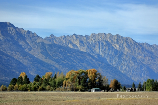 Grand_Teton_National_Park_Wyoming_USA_landscape_nature_Yellowstone_And_Photography_195_Canon_EOS_R5_Mark_II.JPG