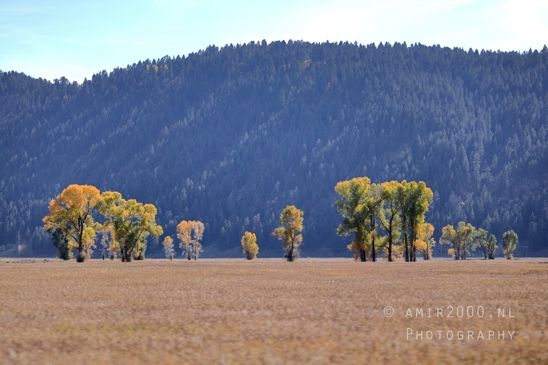 Grand_Teton_National_Park_Wyoming_USA_landscape_nature_Yellowstone_And_Photography_196_Canon_EOS_R5_Mark_II.JPG