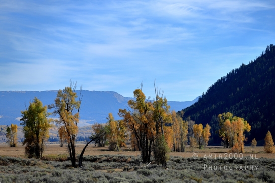 Grand_Teton_National_Park_Wyoming_USA_landscape_nature_Yellowstone_And_Photography_198_Canon_EOS_R5_Mark_II.JPG
