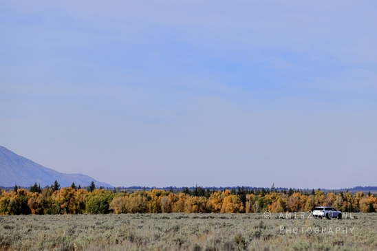 Grand_Teton_National_Park_Wyoming_USA_landscape_nature_Yellowstone_And_Photography_199_Canon_EOS_R5_Mark_II.JPG