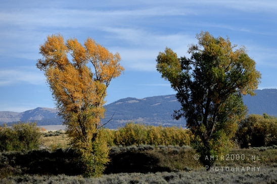 Grand_Teton_National_Park_Wyoming_USA_landscape_nature_Yellowstone_And_Photography_208_Canon_EOS_R5_Mark_II.JPG
