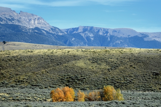 Grand_Teton_National_Park_Wyoming_USA_landscape_nature_Yellowstone_And_Photography_209_Canon_EOS_R5_Mark_II.JPG