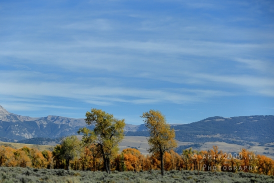 Grand_Teton_National_Park_Wyoming_USA_landscape_nature_Yellowstone_And_Photography_210_Canon_EOS_R5_Mark_II.JPG