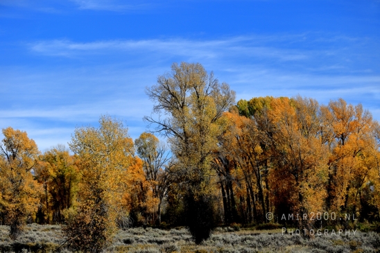 Grand_Teton_National_Park_Wyoming_USA_landscape_nature_Yellowstone_And_Photography_217_Canon_EOS_R5_Mark_II.JPG
