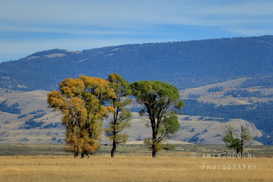 Grand_Teton_National_Park_Wyoming_USA_landscape_nature_Yellowstone_And_Photography_219_Canon_EOS_R5_Mark_II.JPG