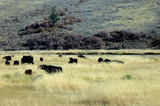 Grand_Teton_National_Park_Wyoming_USA_landscape_nature_Yellowstone_And_Photography_222_Canon_EOS_R5_Mark_II.JPG