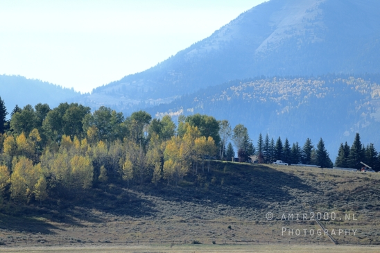 Grand_Teton_National_Park_Wyoming_USA_landscape_nature_Yellowstone_And_Photography_230_Canon_EOS_R5_Mark_II.JPG