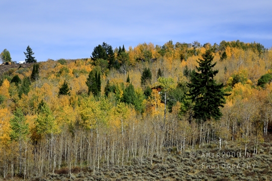 Grand_Teton_National_Park_Wyoming_USA_landscape_nature_Yellowstone_And_Photography_232_Canon_EOS_R5_Mark_II.JPG