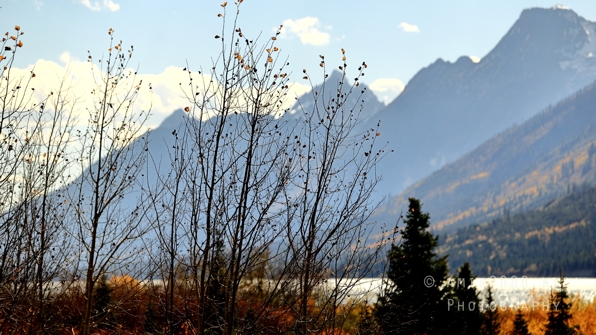 Jackson_Lake_Overlook_Grand_Teton_Park_and_Yellowstone_National_Wyoming_USA_landscape_nature_Photography_008_Canon_EOS_R5_Mark_II.JPG