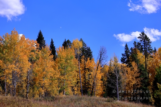 Jackson_Lake_Overlook_Grand_Teton_Park_and_Yellowstone_National_Wyoming_USA_landscape_nature_Photography_011_Canon_EOS_R5_Mark_II.JPG