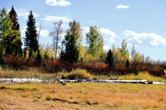 Jackson_Lake_Overlook_Grand_Teton_Park_and_Yellowstone_National_Wyoming_USA_landscape_nature_Photography_018_Canon_EOS_R5_Mark_II.JPG