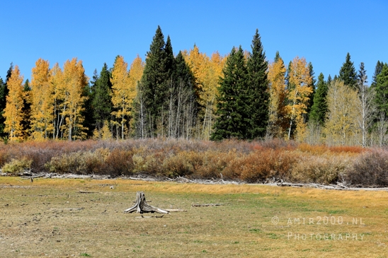 Jackson_Lake_Overlook_Grand_Teton_Park_and_Yellowstone_National_Wyoming_USA_landscape_nature_Photography_023_Canon_EOS_R5_Mark_II.JPG