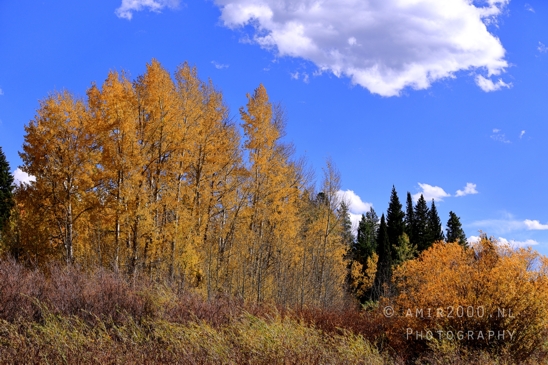 Jackson_Lake_Overlook_Grand_Teton_Park_and_Yellowstone_National_Wyoming_USA_landscape_nature_Photography_024_Canon_EOS_R5_Mark_II.JPG