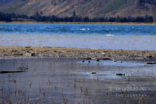 Jackson_Lake_Overlook_Grand_Teton_Park_and_Yellowstone_National_Wyoming_USA_landscape_nature_Photography_025_Canon_EOS_R5_Mark_II.JPG