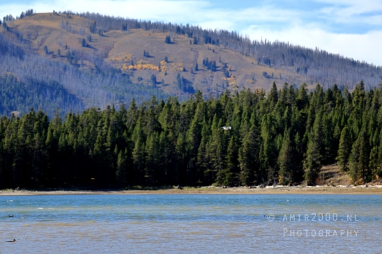 Jackson_Lake_Overlook_Grand_Teton_Park_and_Yellowstone_National_Wyoming_USA_landscape_nature_Photography_026_Canon_EOS_R5_Mark_II.JPG
