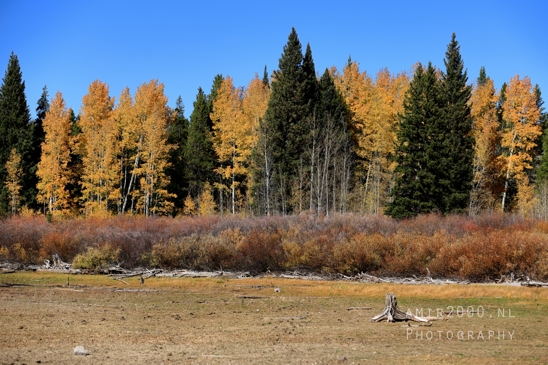 Jackson_Lake_Overlook_Grand_Teton_Park_and_Yellowstone_National_Wyoming_USA_landscape_nature_Photography_028_Canon_EOS_R5_Mark_II.JPG
