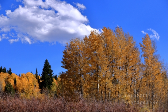Jackson_Lake_Overlook_Grand_Teton_Park_and_Yellowstone_National_Wyoming_USA_landscape_nature_Photography_031_Canon_EOS_R5_Mark_II.JPG