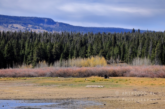 Jackson_Lake_Overlook_Grand_Teton_Park_and_Yellowstone_National_Wyoming_USA_landscape_nature_Photography_033_Canon_EOS_R5_Mark_II.JPG