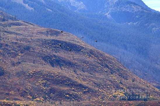 Jackson_Lake_Overlook_Grand_Teton_Park_and_Yellowstone_National_Wyoming_USA_landscape_nature_Photography_035_Canon_EOS_R5_Mark_II.JPG