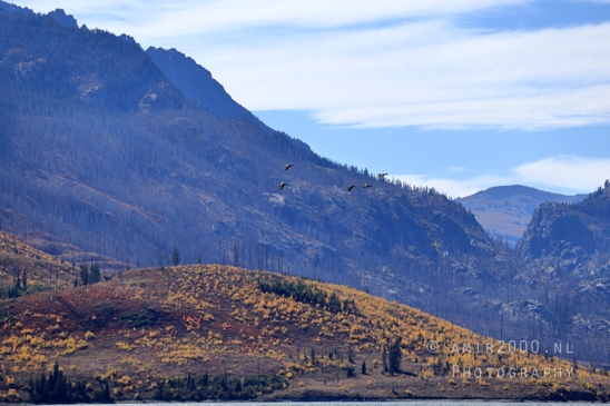 Jackson_Lake_Overlook_Grand_Teton_Park_and_Yellowstone_National_Wyoming_USA_landscape_nature_Photography_037_Canon_EOS_R5_Mark_II.JPG