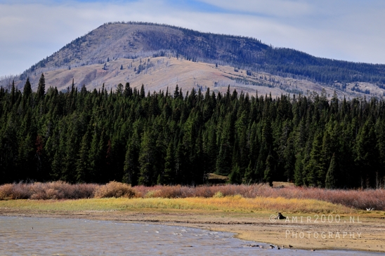 Jackson_Lake_Overlook_Grand_Teton_Park_and_Yellowstone_National_Wyoming_USA_landscape_nature_Photography_039_Canon_EOS_R5_Mark_II.JPG