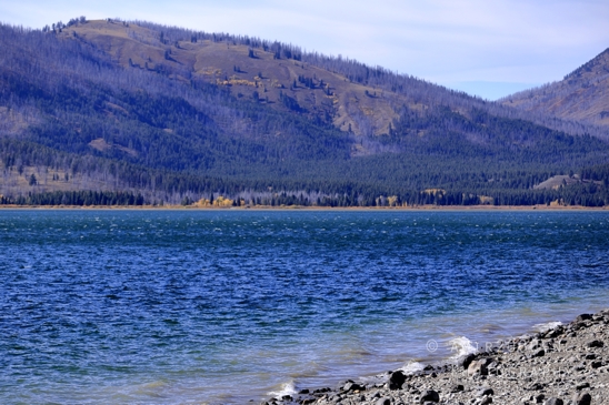 Jackson_Lake_Overlook_Grand_Teton_Park_and_Yellowstone_National_Wyoming_USA_landscape_nature_Photography_060_Canon_EOS_R5_Mark_II.JPG