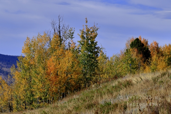 Jackson_Lake_Overlook_Grand_Teton_Park_and_Yellowstone_National_Wyoming_USA_landscape_nature_Photography_077_Canon_EOS_R5_Mark_II.JPG