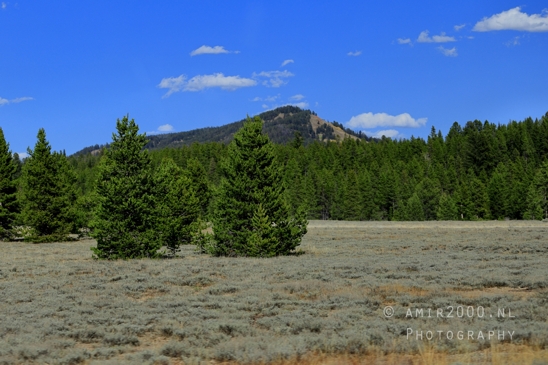 Jackson_Lake_Overlook_Grand_Teton_Park_and_Yellowstone_National_Wyoming_USA_landscape_nature_Photography_088_Canon_EOS_R5_Mark_II.JPG