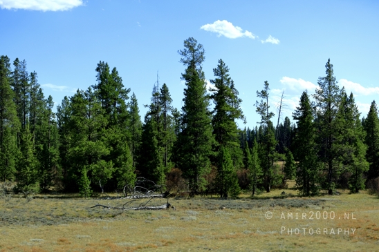 Jackson_Lake_Overlook_Grand_Teton_Park_and_Yellowstone_National_Wyoming_USA_landscape_nature_Photography_089_Canon_EOS_R5_Mark_II.JPG