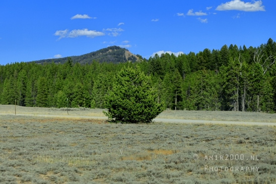 Jackson_Lake_Overlook_Grand_Teton_Park_and_Yellowstone_National_Wyoming_USA_landscape_nature_Photography_090_Canon_EOS_R5_Mark_II.JPG