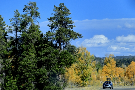 Jackson_Lake_Overlook_Grand_Teton_Park_and_Yellowstone_National_Wyoming_USA_landscape_nature_Photography_095_Canon_EOS_R5_Mark_II.JPG