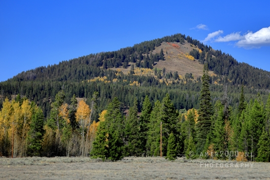 Jackson_Lake_Overlook_Grand_Teton_Park_and_Yellowstone_National_Wyoming_USA_landscape_nature_Photography_096_Canon_EOS_R5_Mark_II.JPG